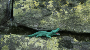 Krokodil aus Gummi in einer Steinspalte
